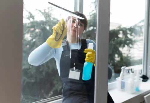 Nettoyage de vitres intérieures et extérieures à Châtillon-sur-Colmont